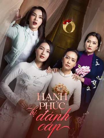 Hạnh Phúc Bị Đánh Cắp poster